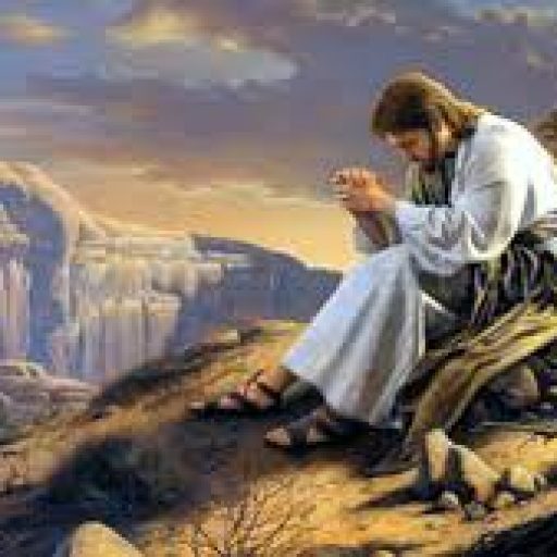 VERSE OF THE&nbsp;DAY